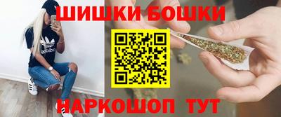 крисы Обь